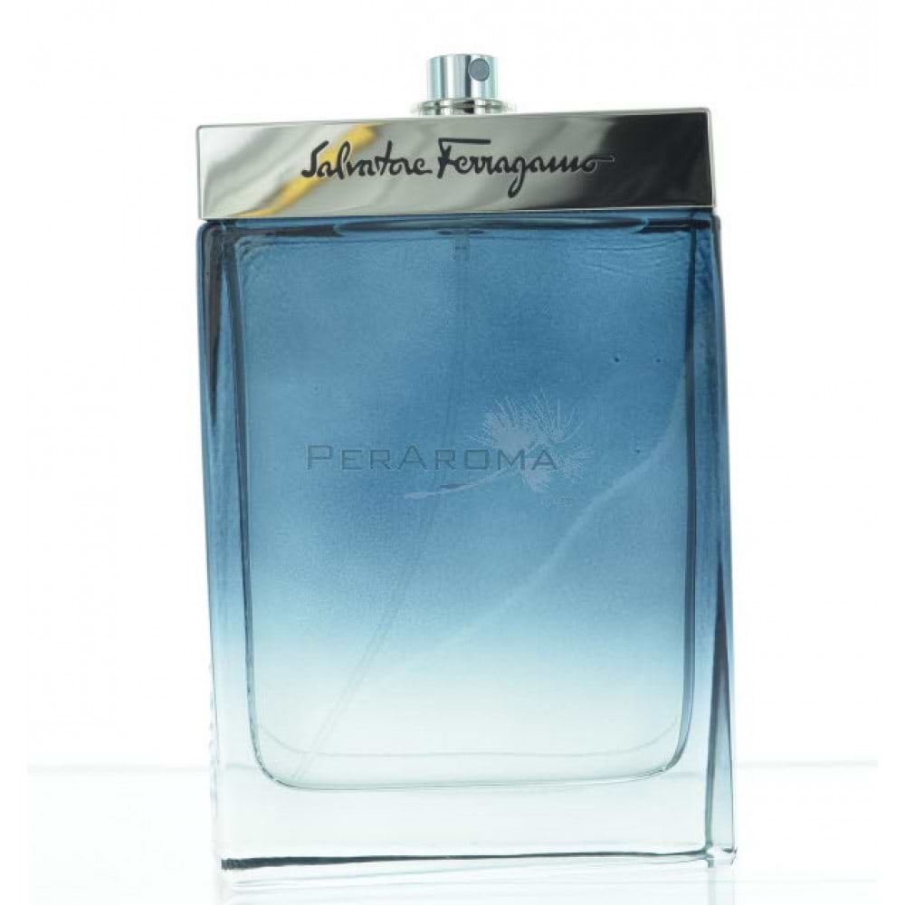 Salvatore Ferragamo Subtil for Men