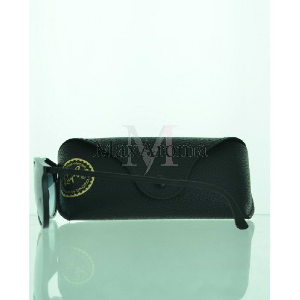 RB 2447 Sunglasses 