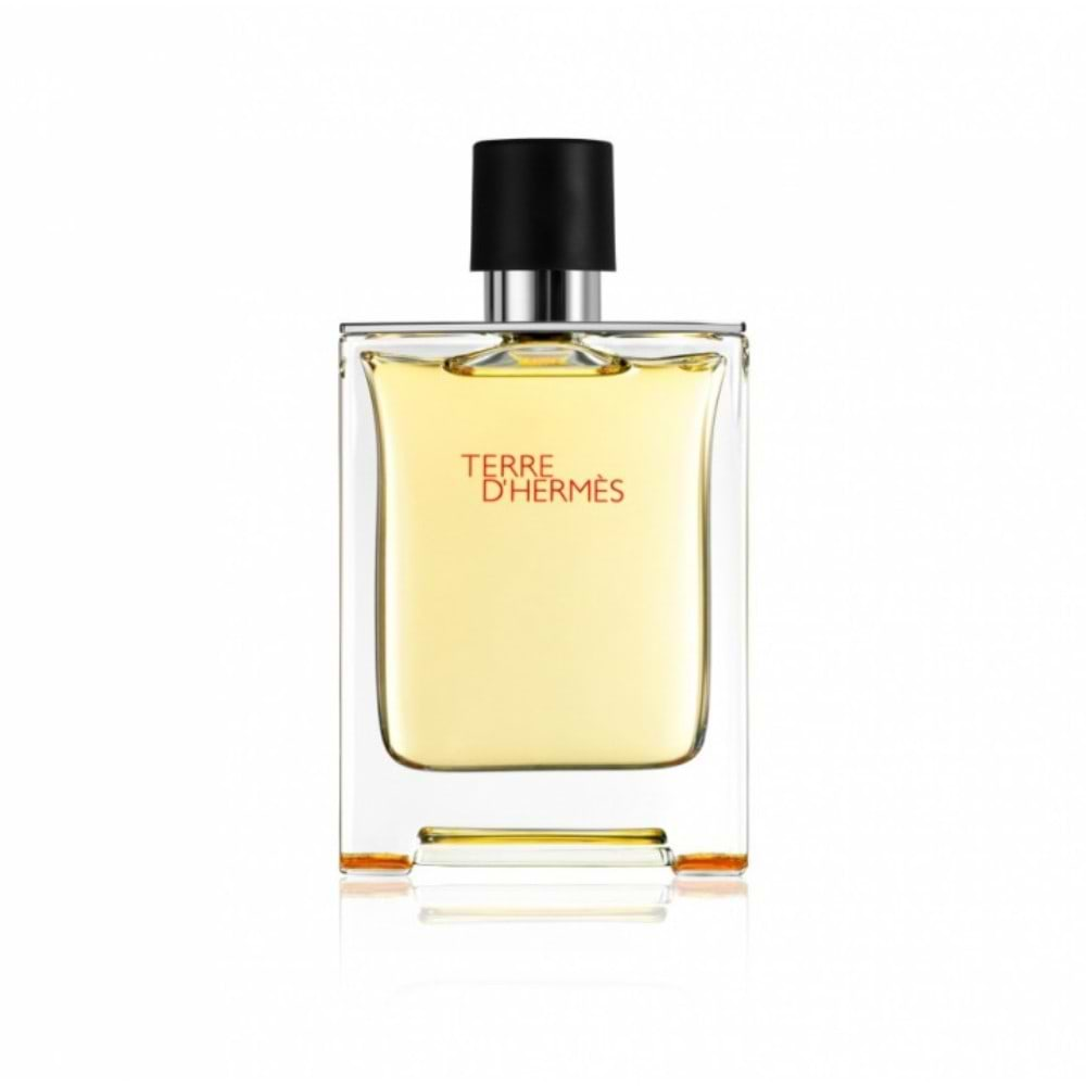 Terre d\'Hermes by Hermes 