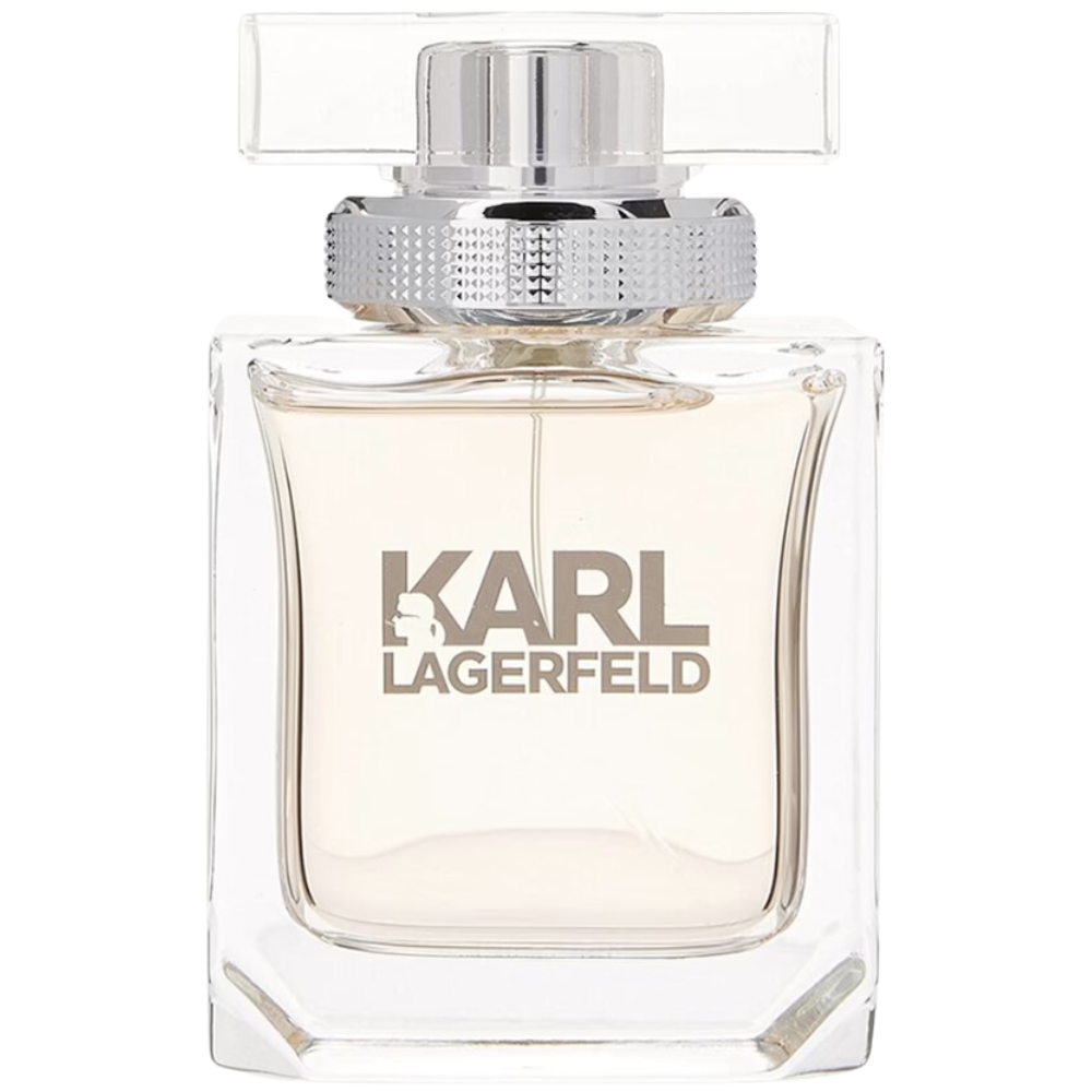 Karl Lagerfeld Lagerfeld