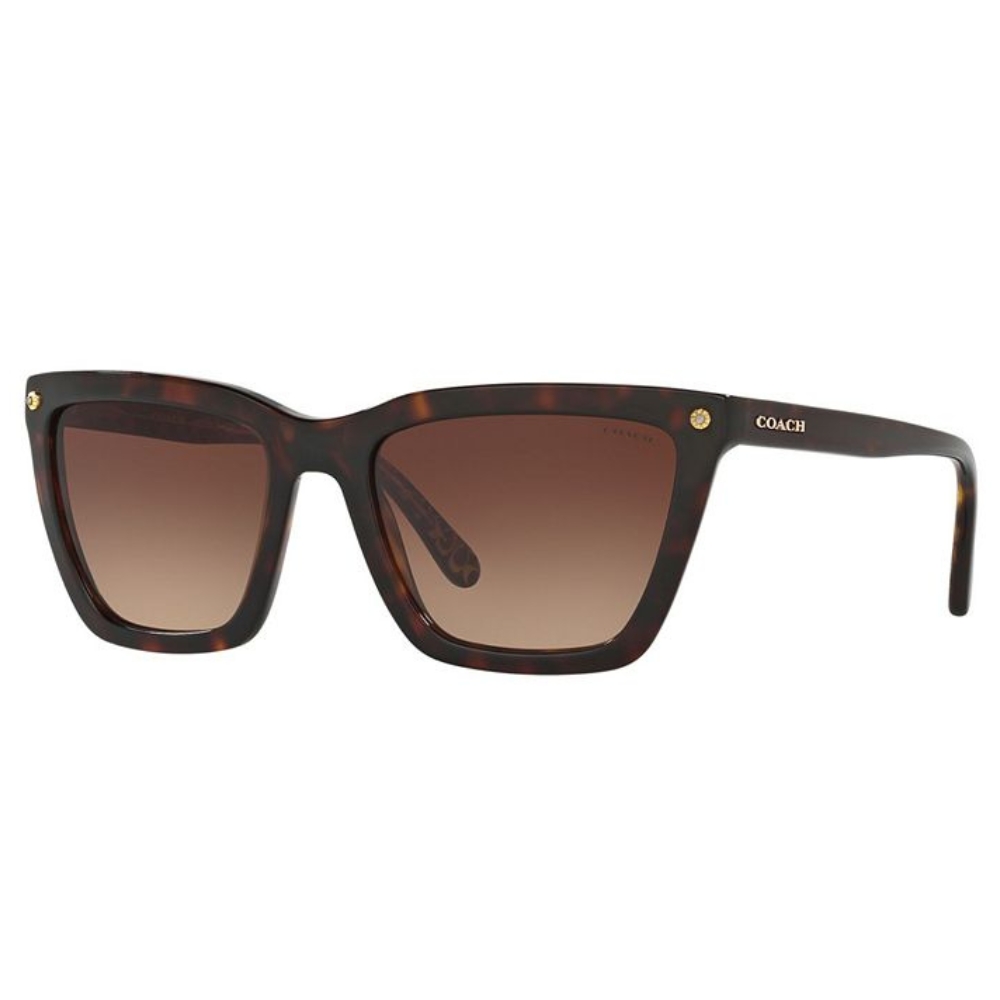  Coach HC8158 L1612 Sunglasses 