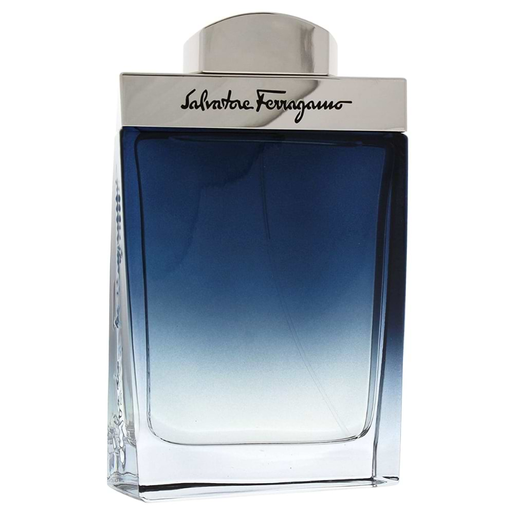 Salvatore Ferragamo Subtil for Men