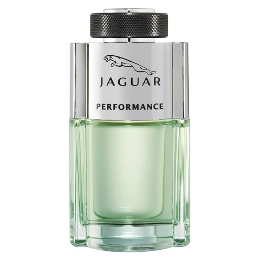 Jaguar Performance 