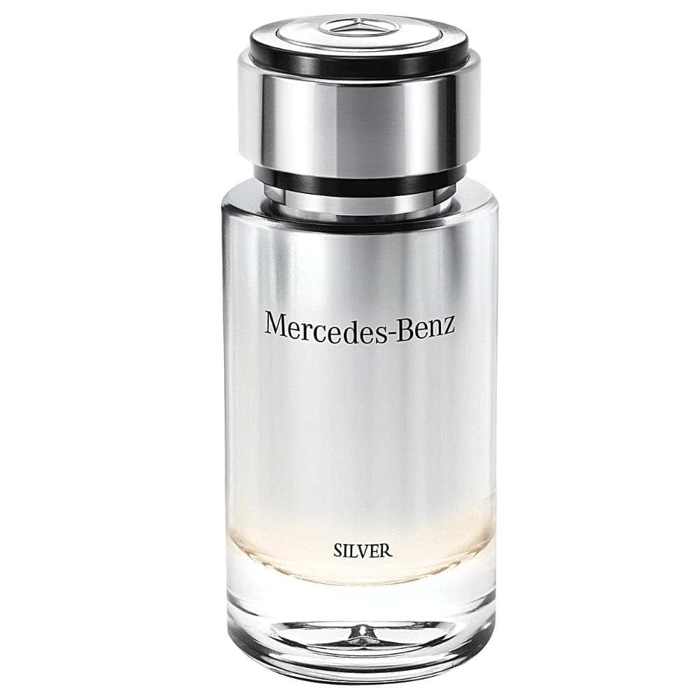 Mercedes Benz Silver 