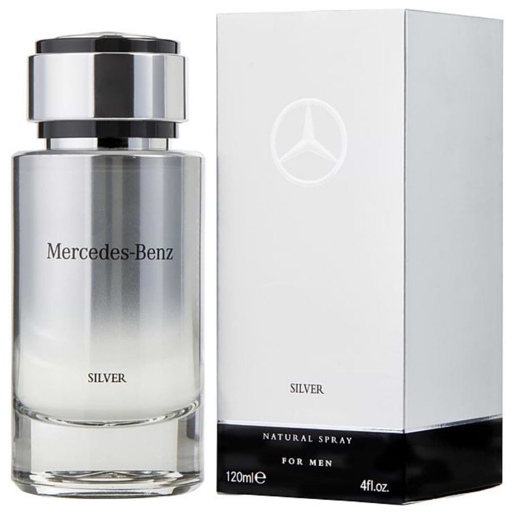 Mercedes Benz Silver 