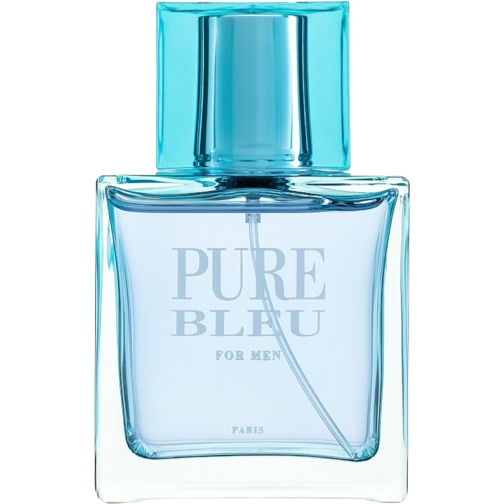 Pure Bleu by Karen Low for Men Eau de Toilette Spray 3.4 oz