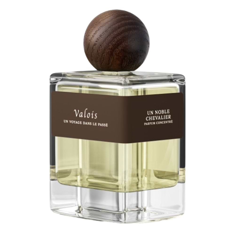 Valois Un Noble Chevalier
